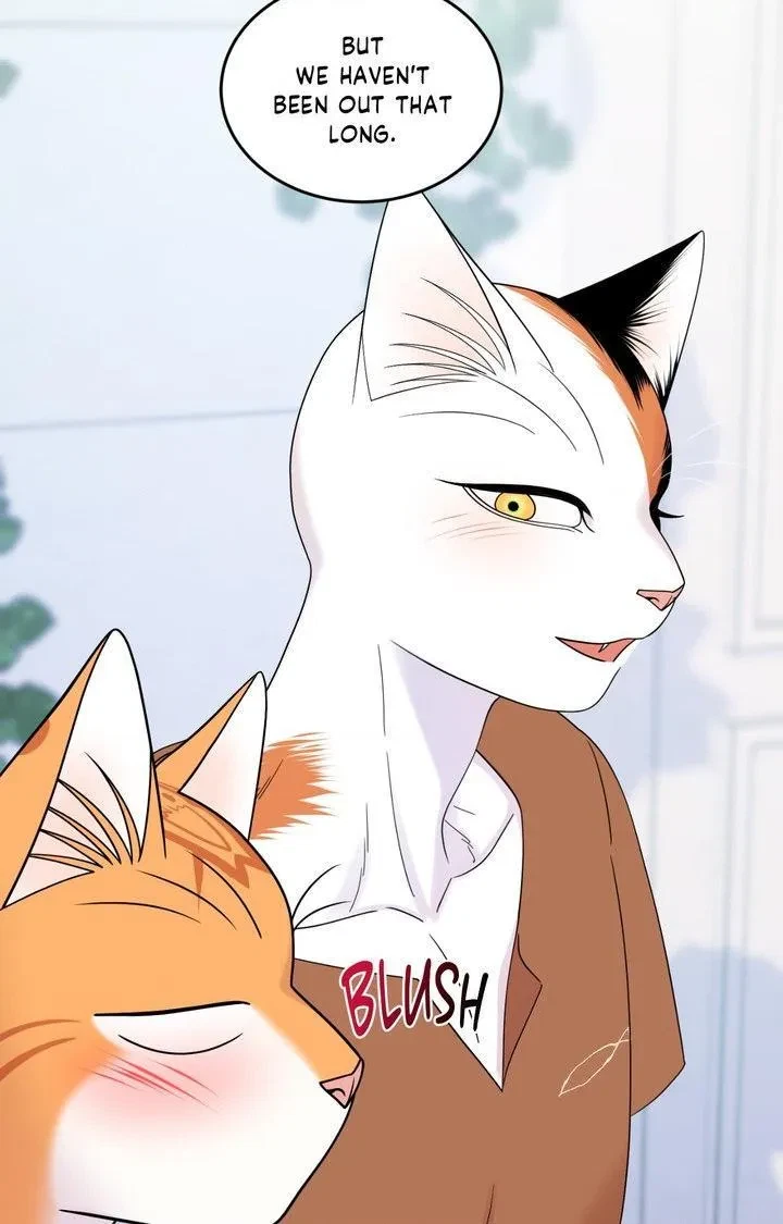 Chapter 104, page 95