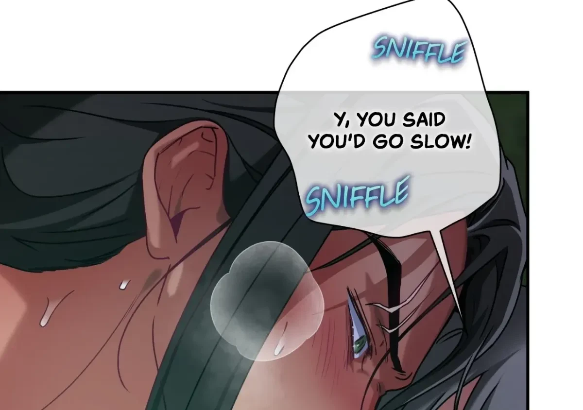 Chapter 4, page 66