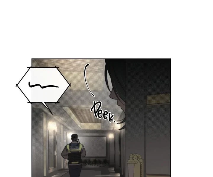 Chapter 3, page 65