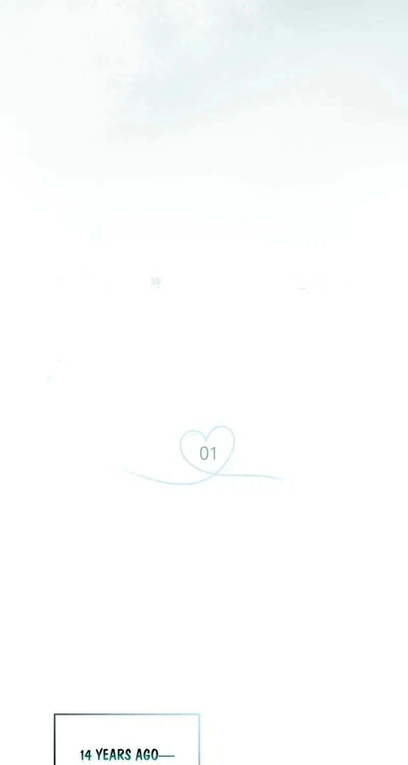 Chapter 1.1, page 13