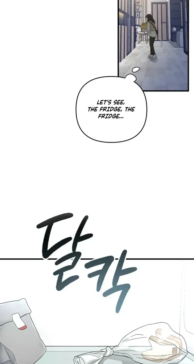 Chapter 1.1, page 67