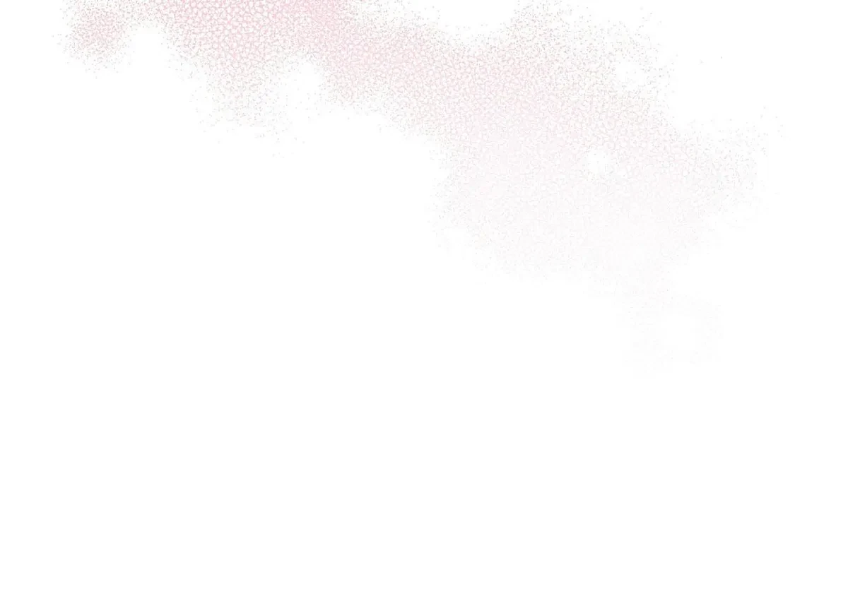 Chapter 2, page 11