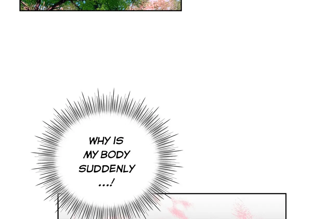 Chapter 2, page 15