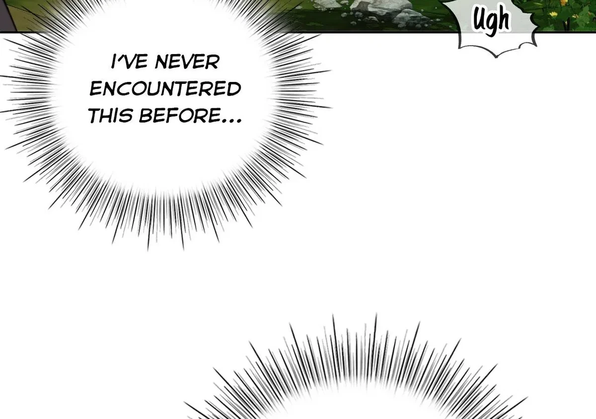 Chapter 2, page 19