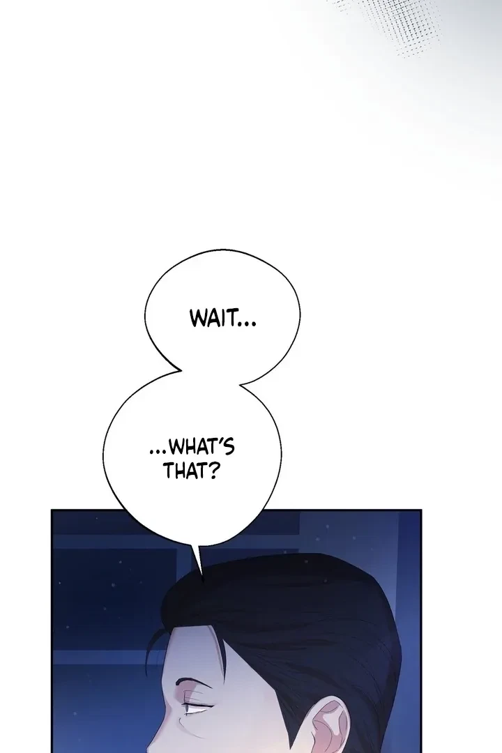 Chapter 2, page 113