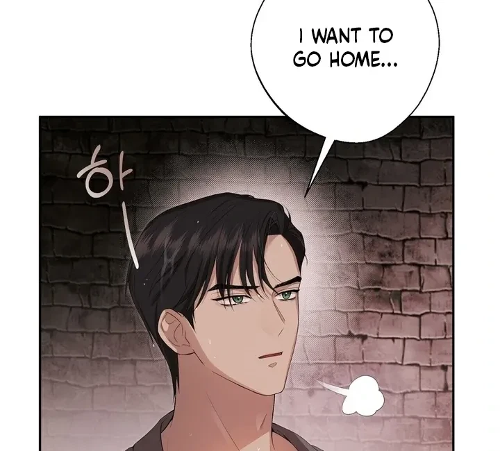 Chapter 2, page 41
