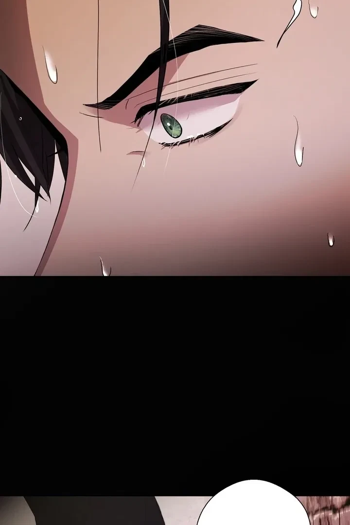 Chapter 2, page 61
