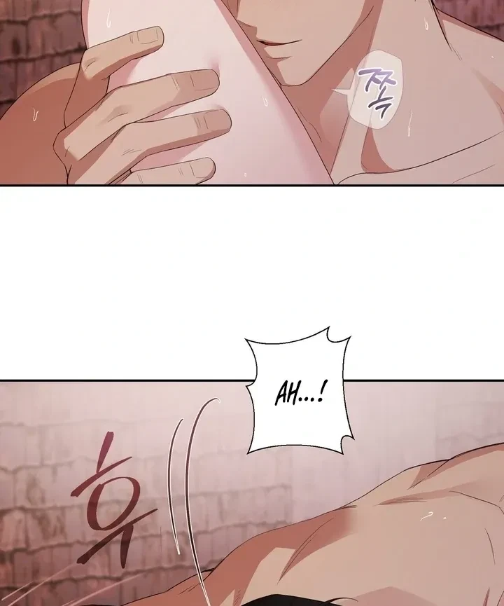 Chapter 2, page 81