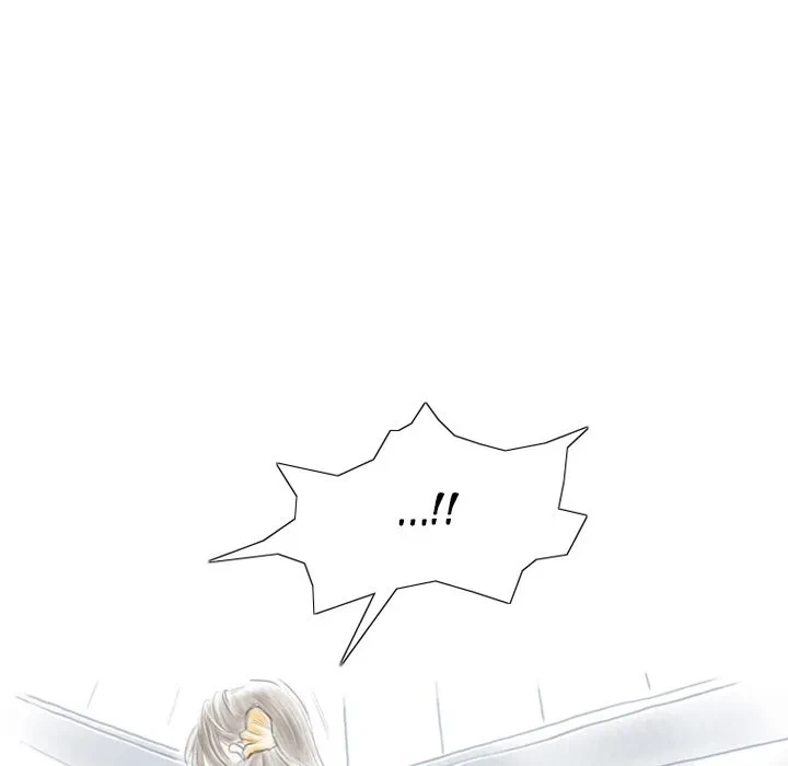 Chapter 1, page 29