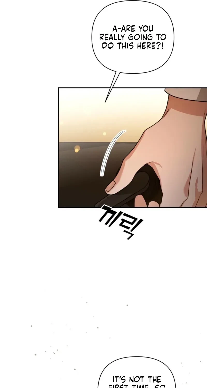 Chapter 0, page 19