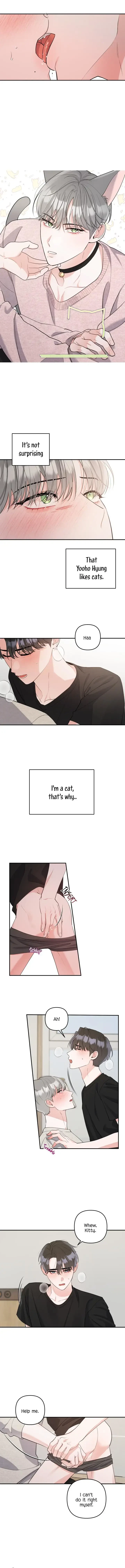 Chapter 4, page 5