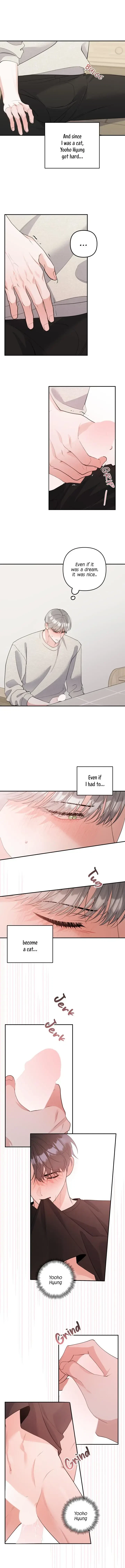 Chapter 4, page 8
