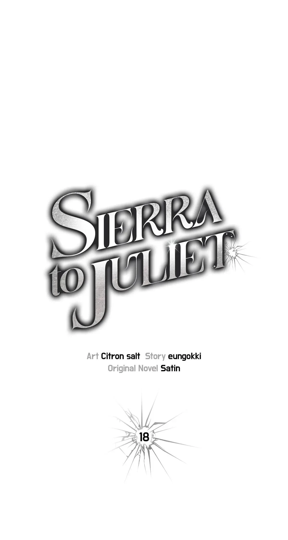 Sierra To Juliet Chapter 18, page 3