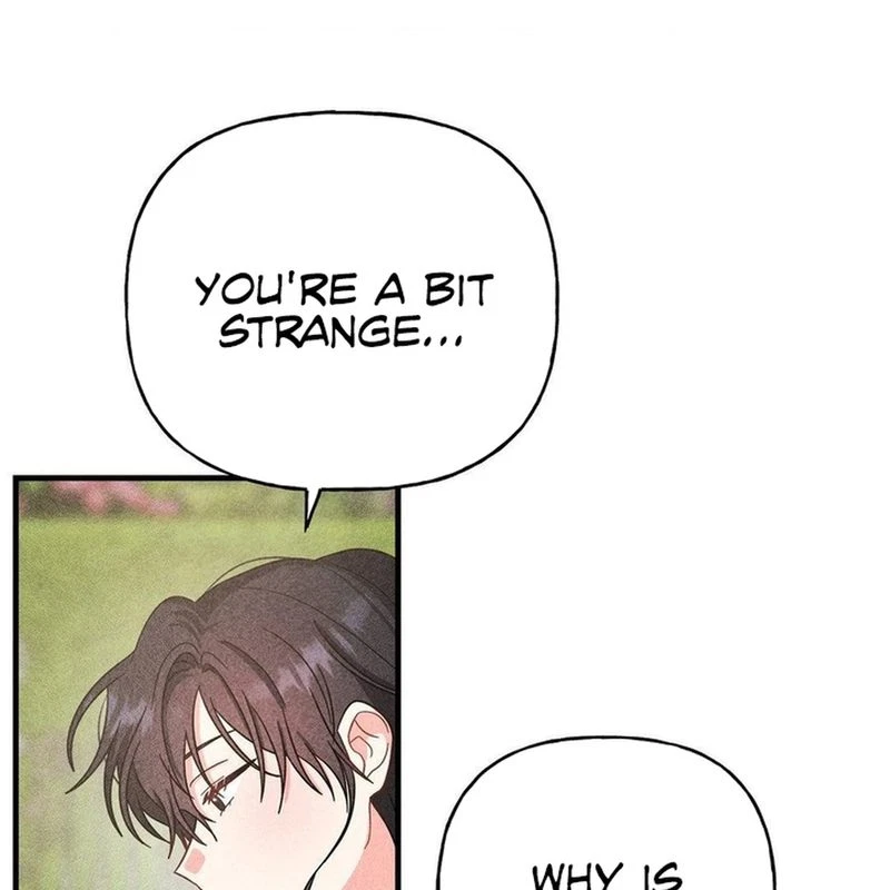 Chapter 3, page 96