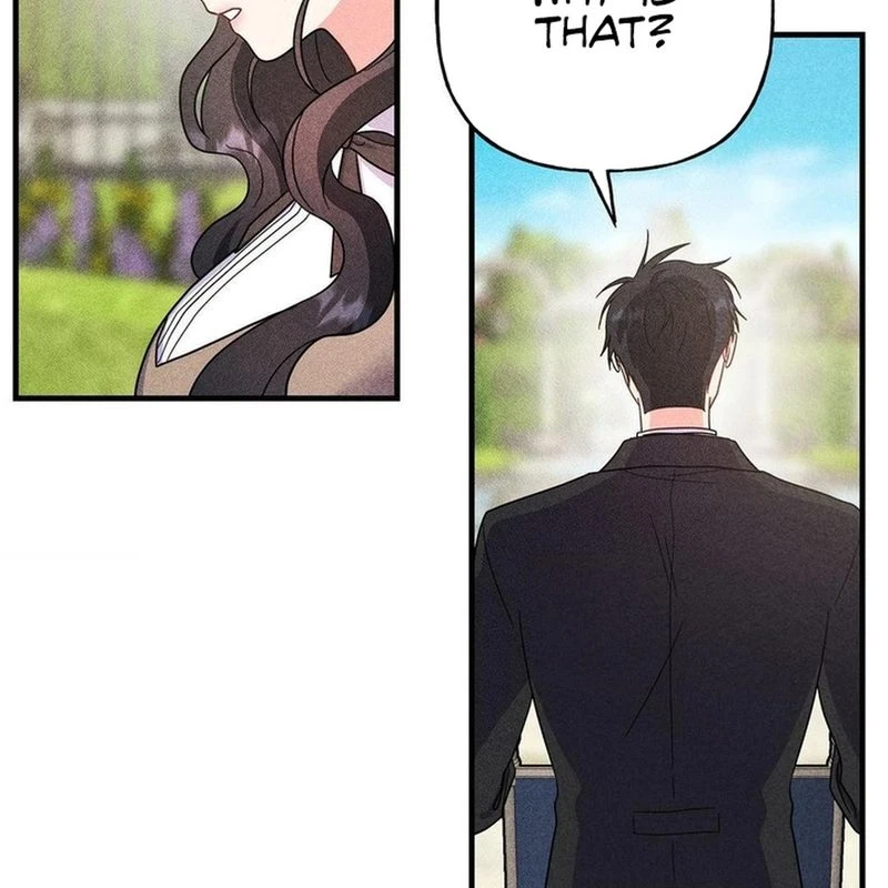Chapter 3, page 97
