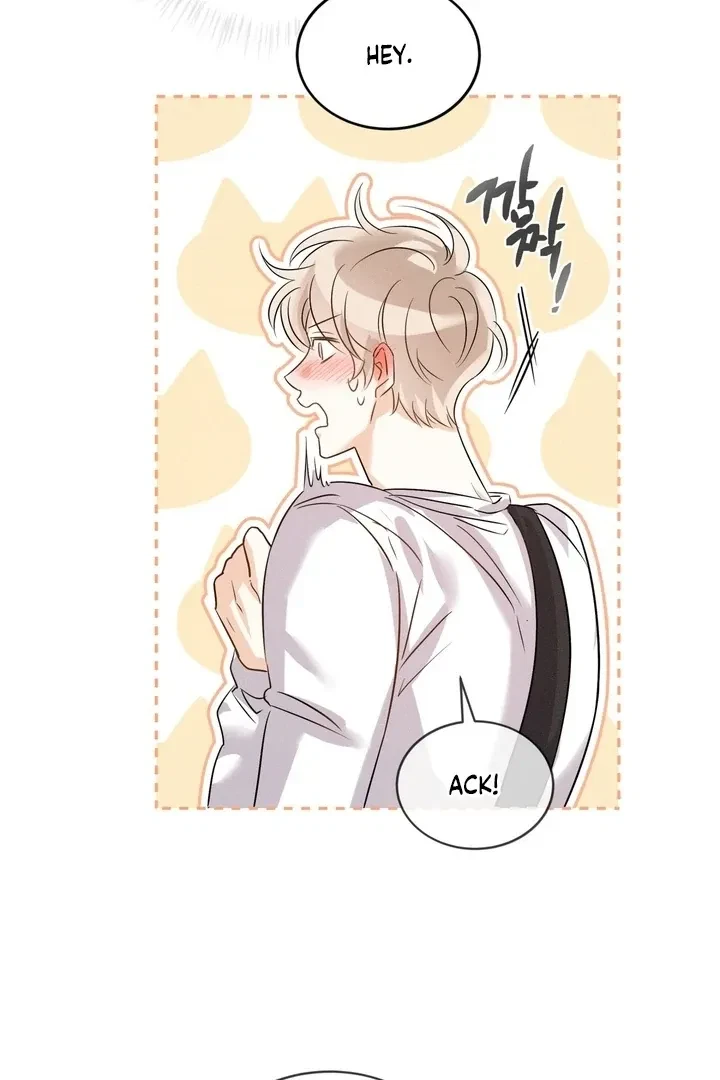 Chapter 2, page 60