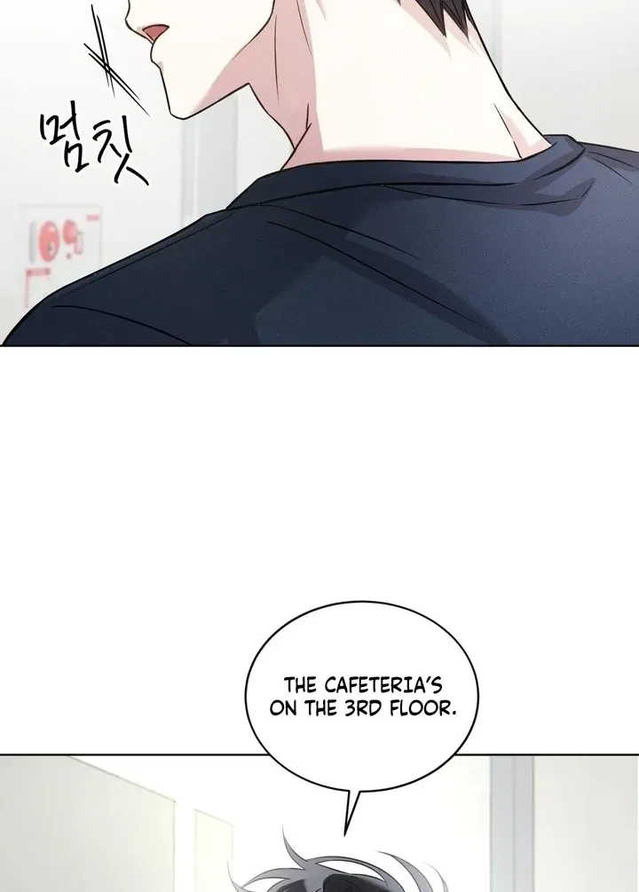 Chapter 2, page 97
