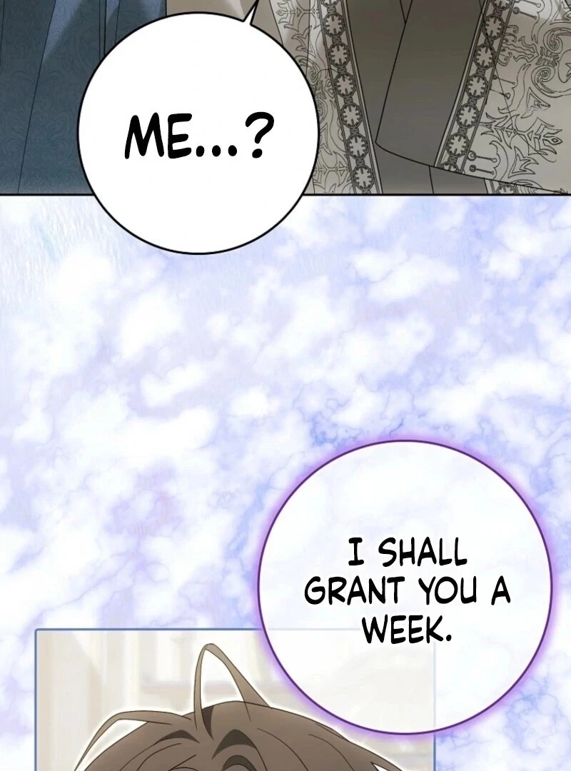 Chapter 37, page 17