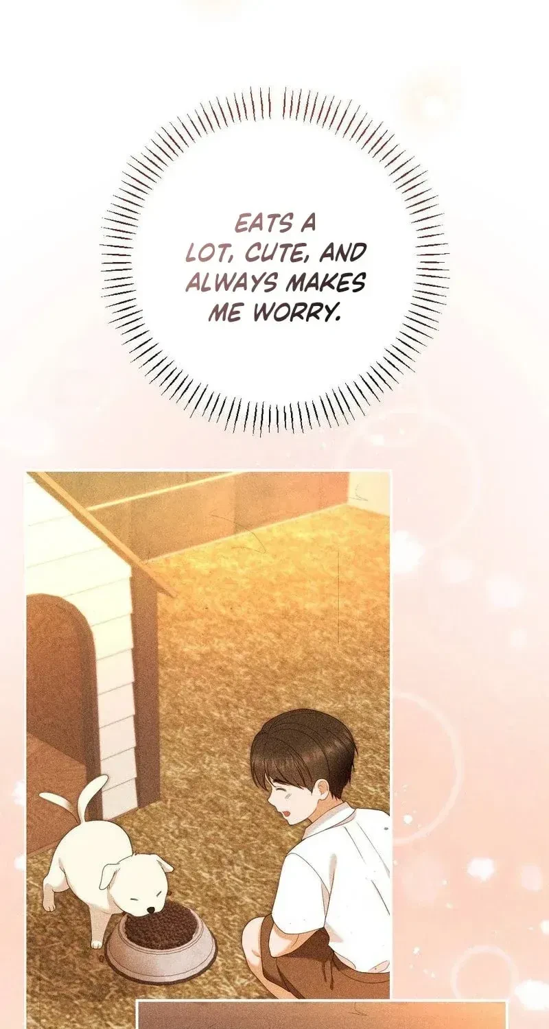 Chapter 21, page 17