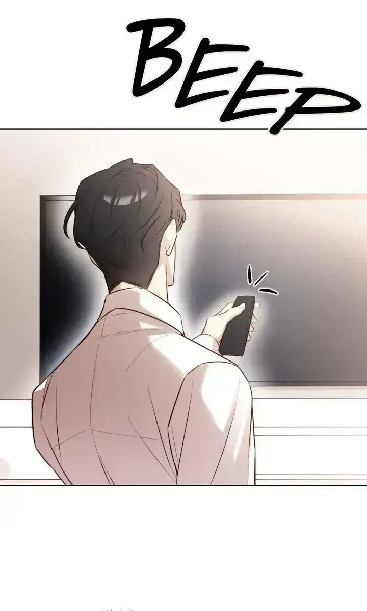 Chapter 1.8, page 31