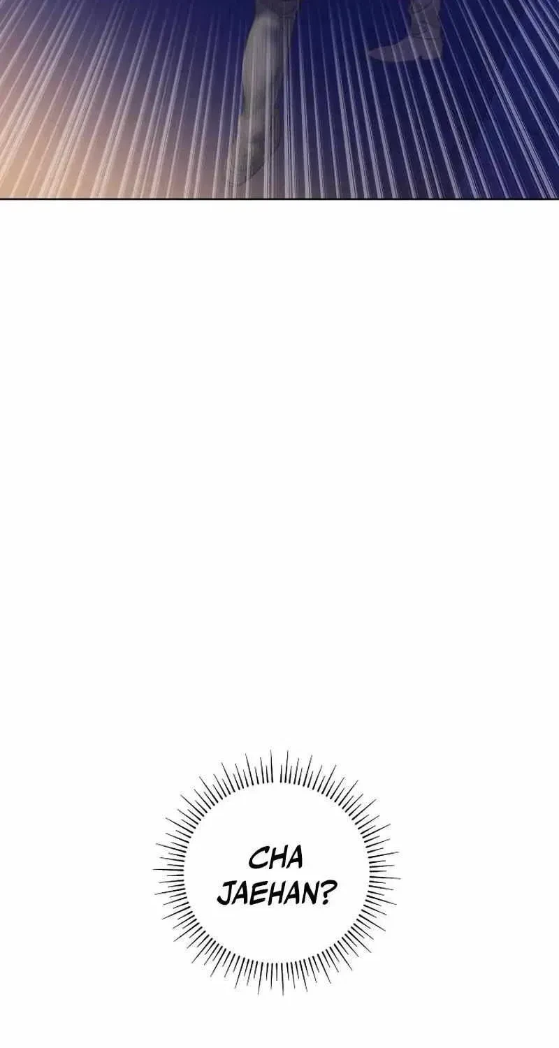 Chapter 3, page 96