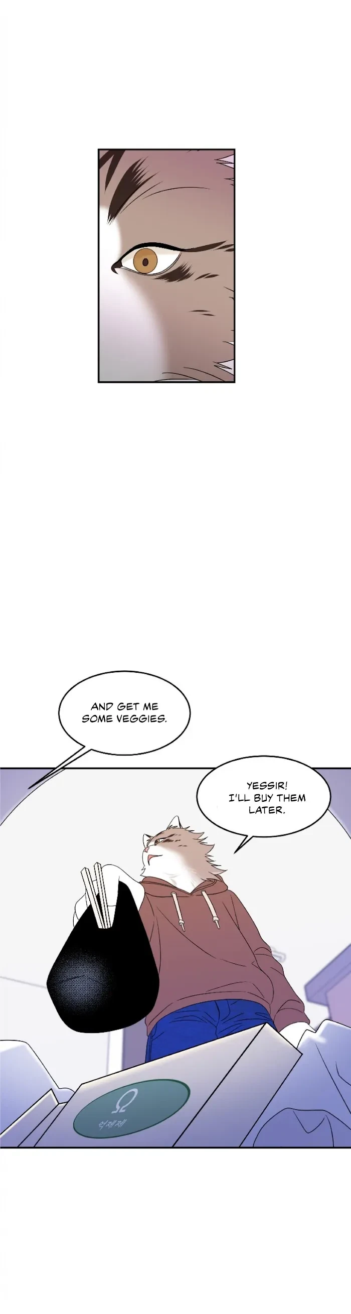 Chapter 3, page 13