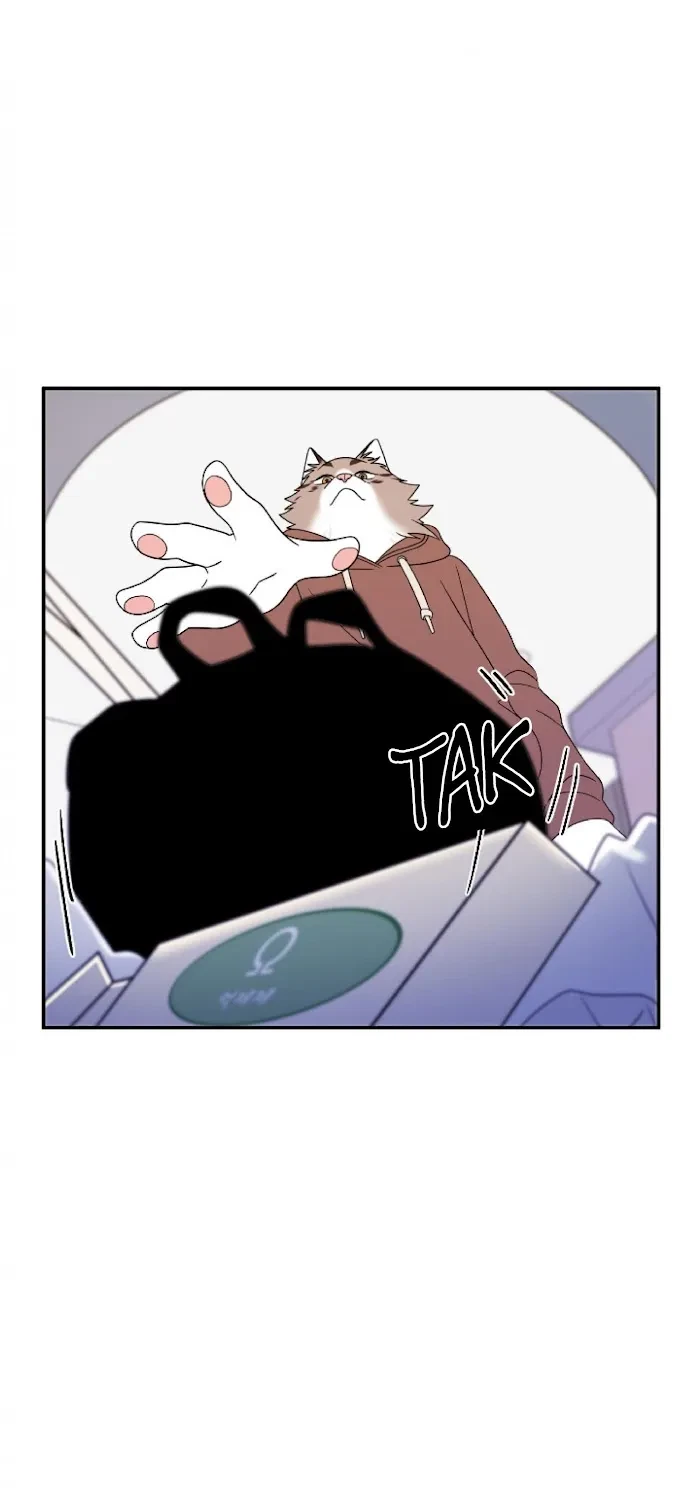 Chapter 3, page 14