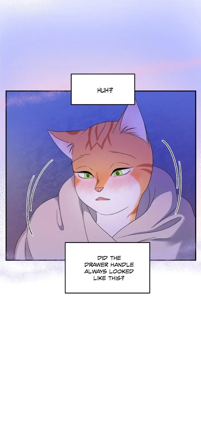 Chapter 3, page 29