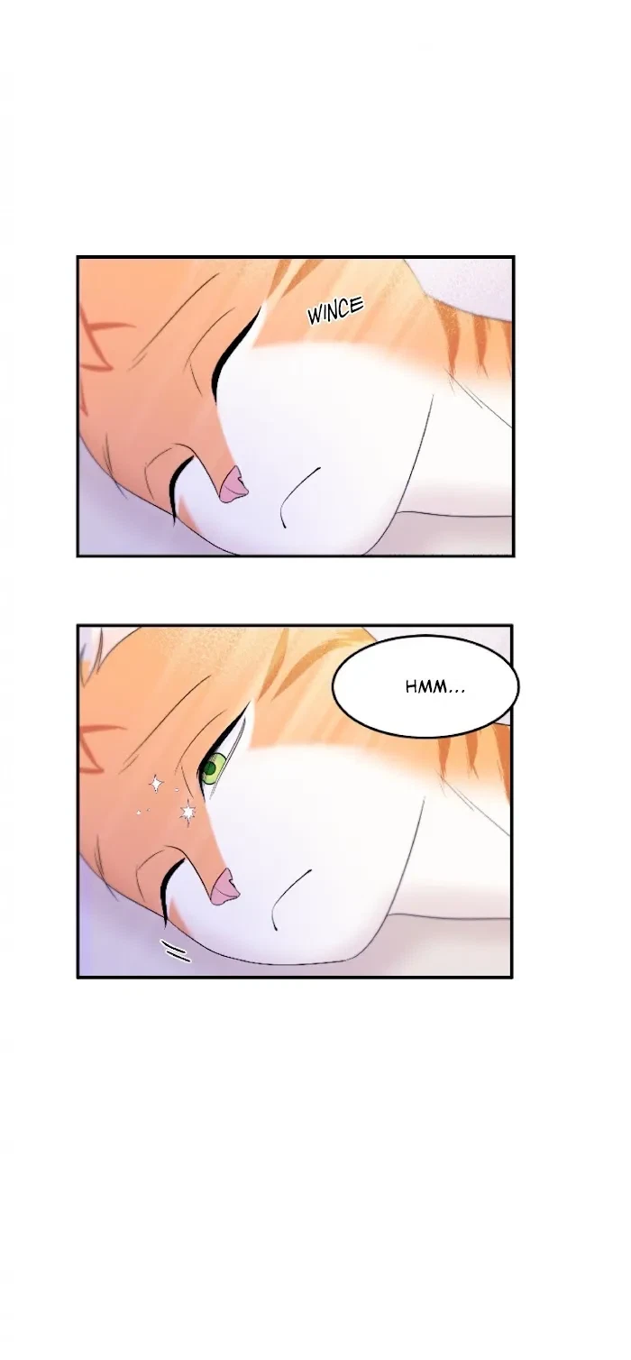 Chapter 3, page 33