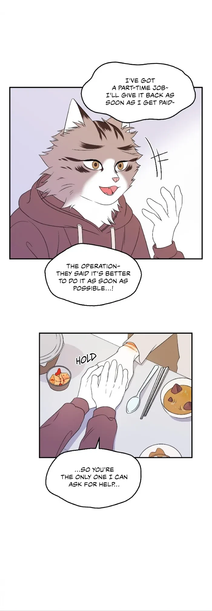 Chapter 3, page 8