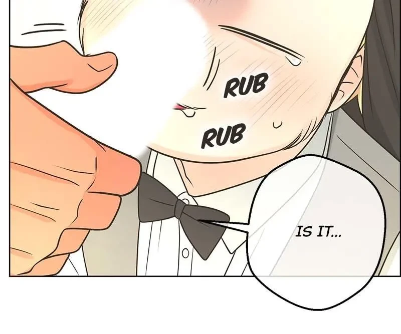 Chapter 53, page 29