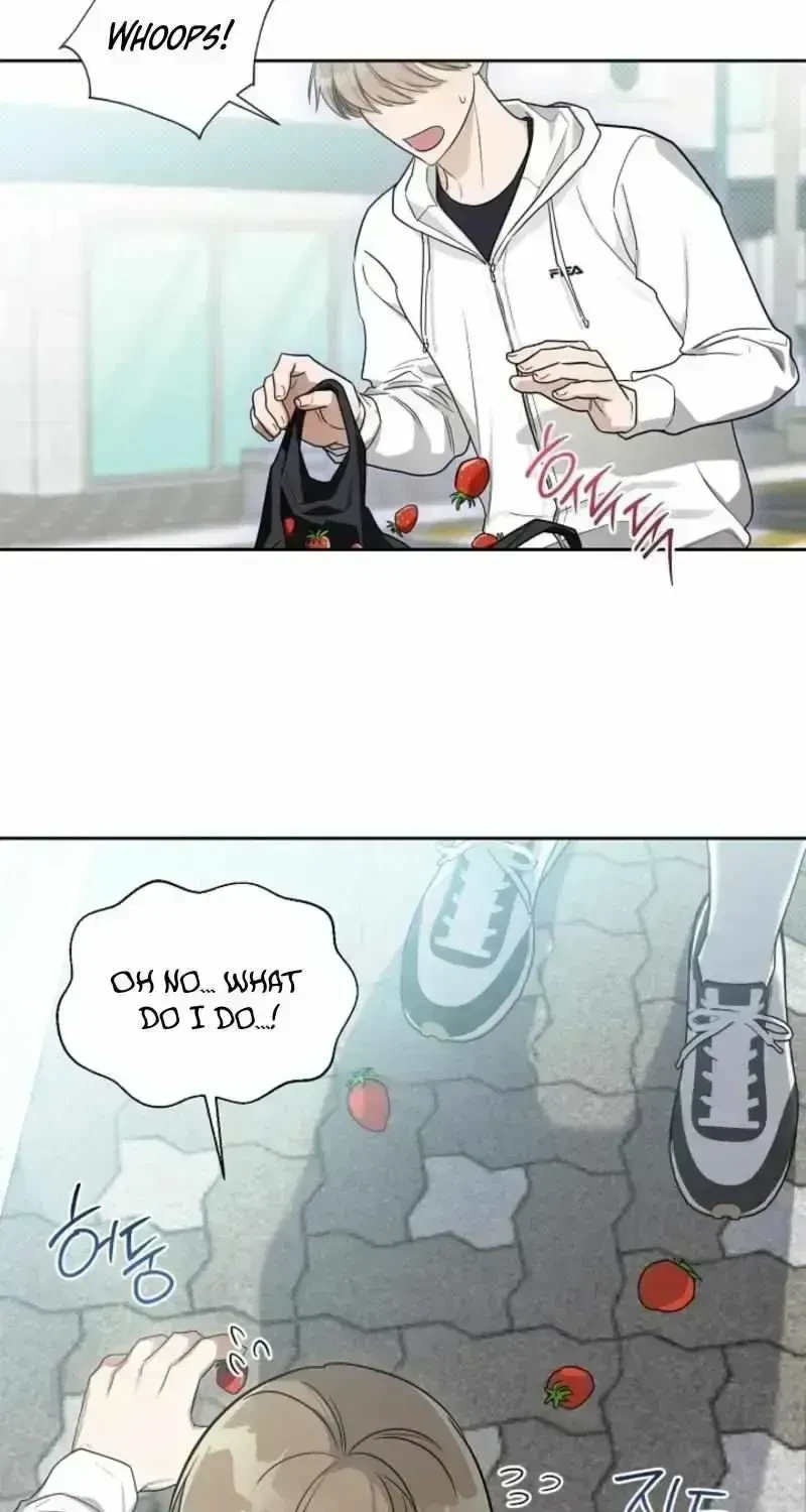 Chapter 1.5, page 52