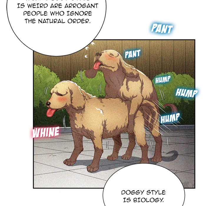 Chapter 2, page 46