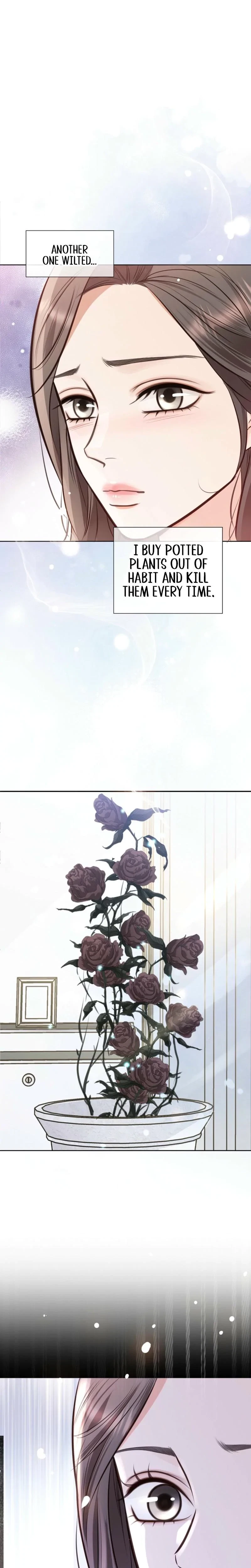 Chapter 2, page 32