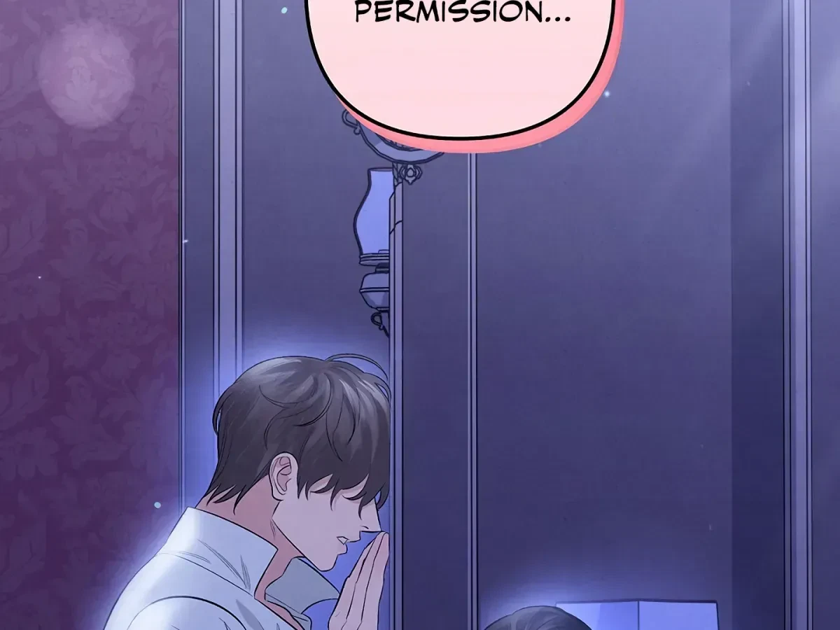 Chapter 1.1, page 13