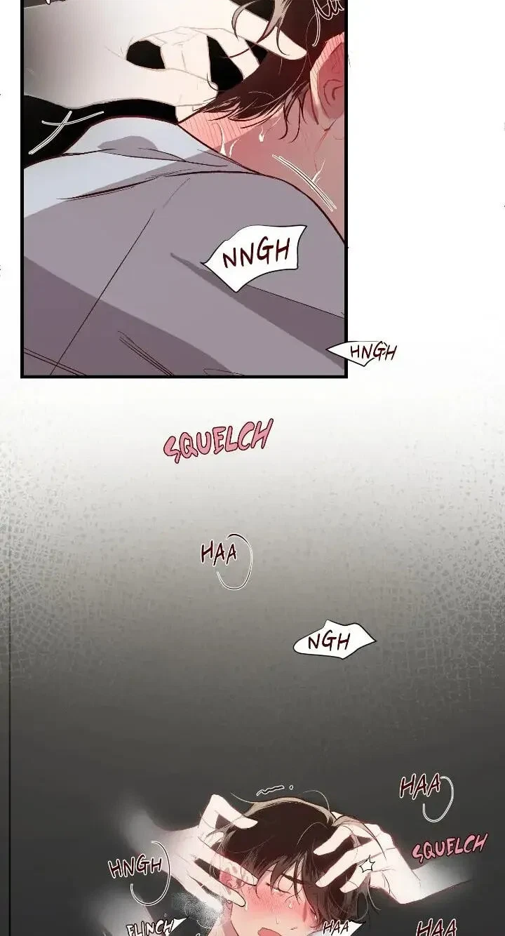 Chapter 2, page 13