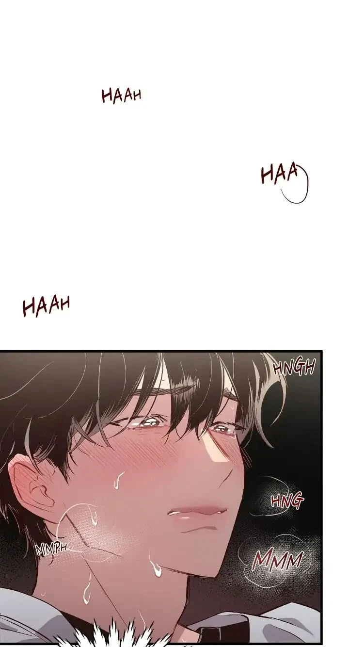 Chapter 2, page 8