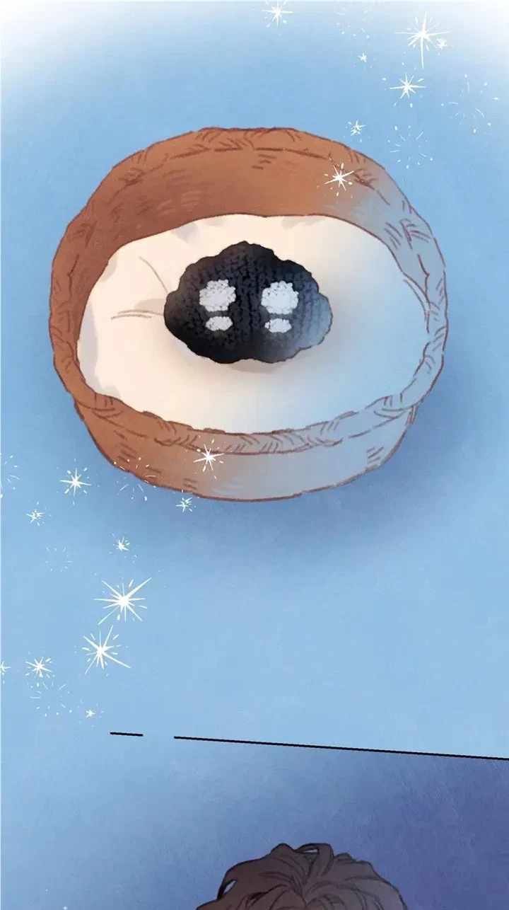 Chapter 195, page 62