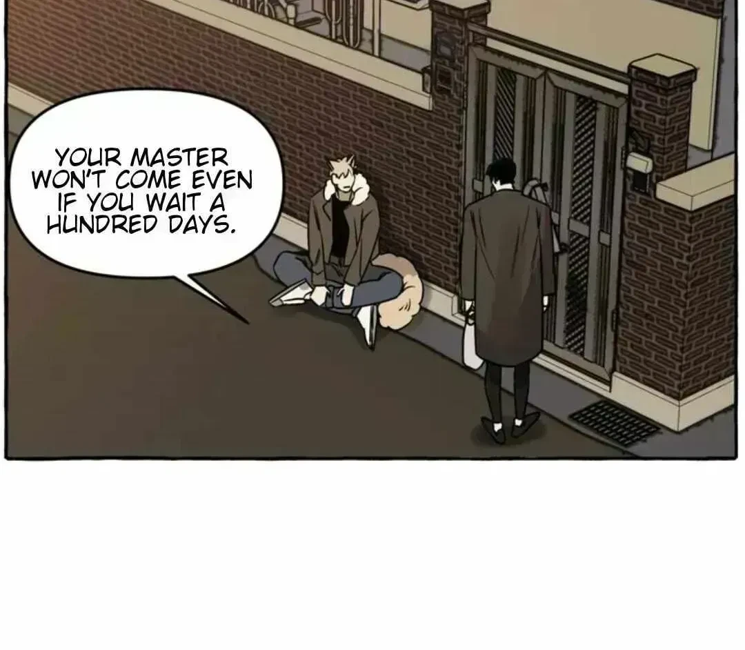 Chapter 1.6, page 8
