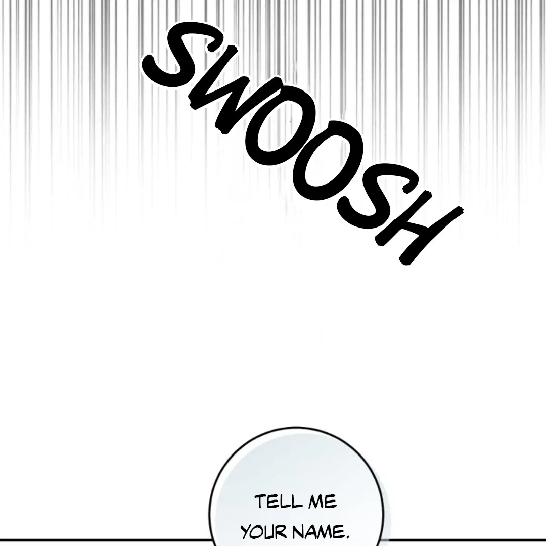 Chapter 2, page 100