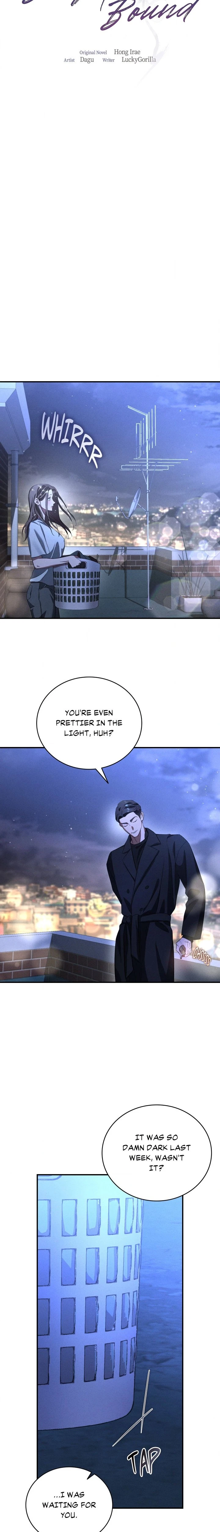 Chapter 2, page 17