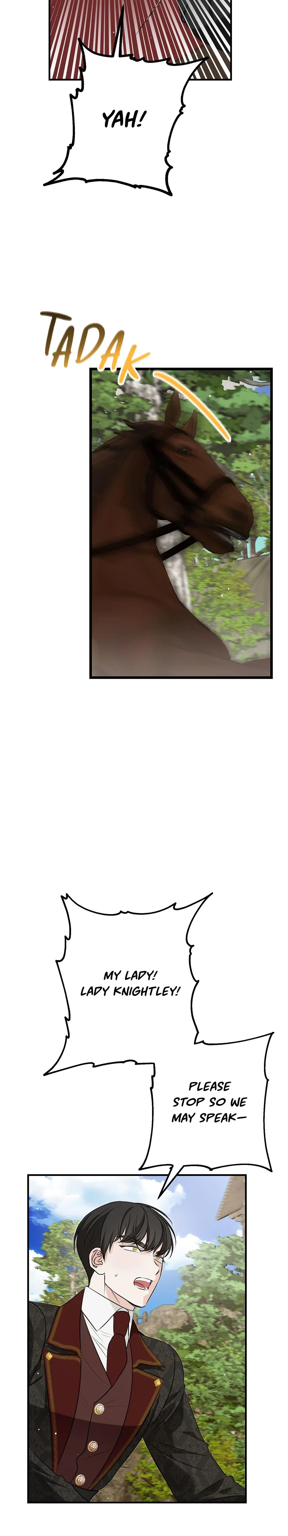 Chapter 3, page 29
