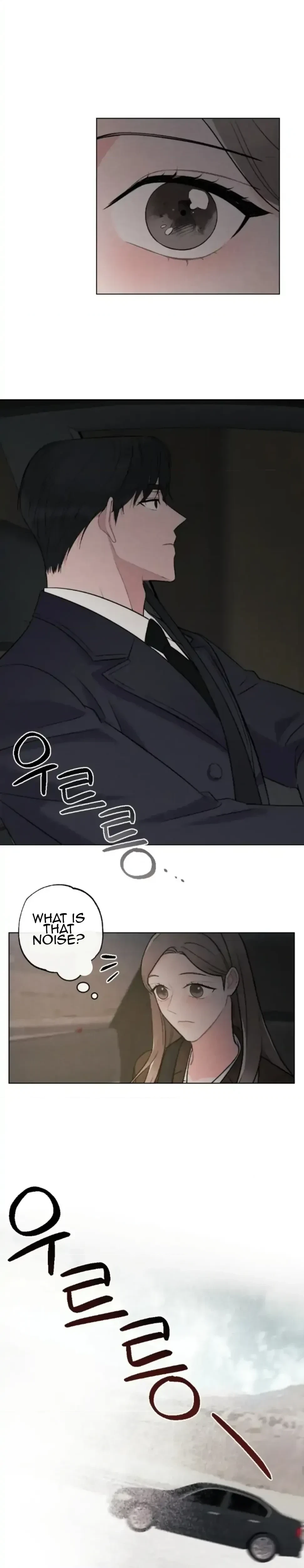 Chapter 1, page 13