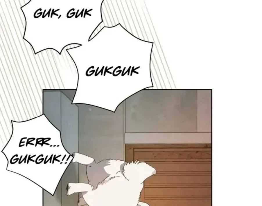 Chapter 1.8, page 51