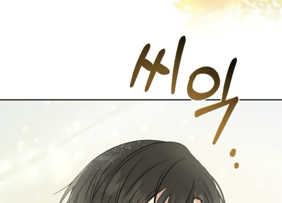 Chapter 1, page 243