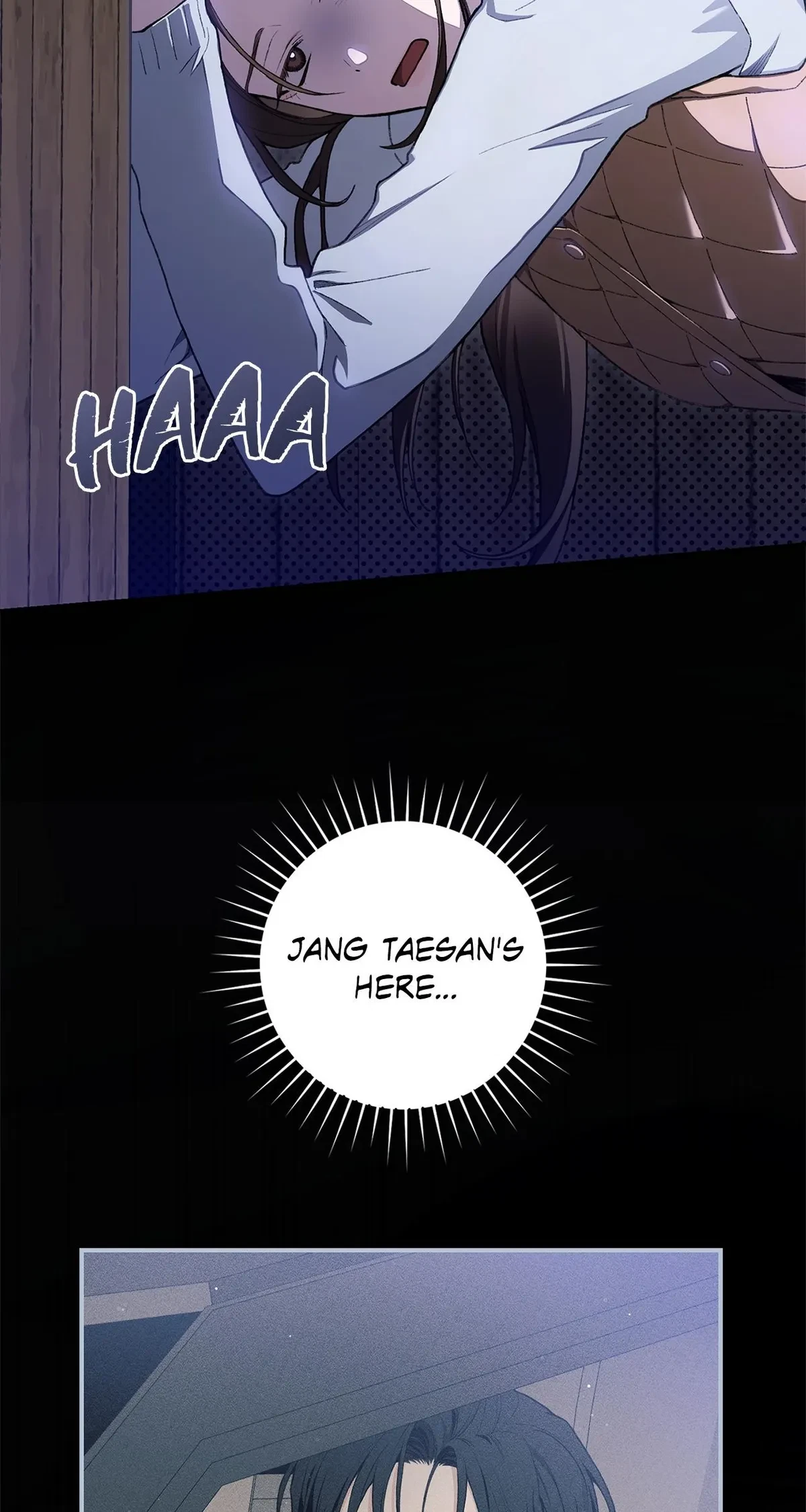 Chapter 3, page 47