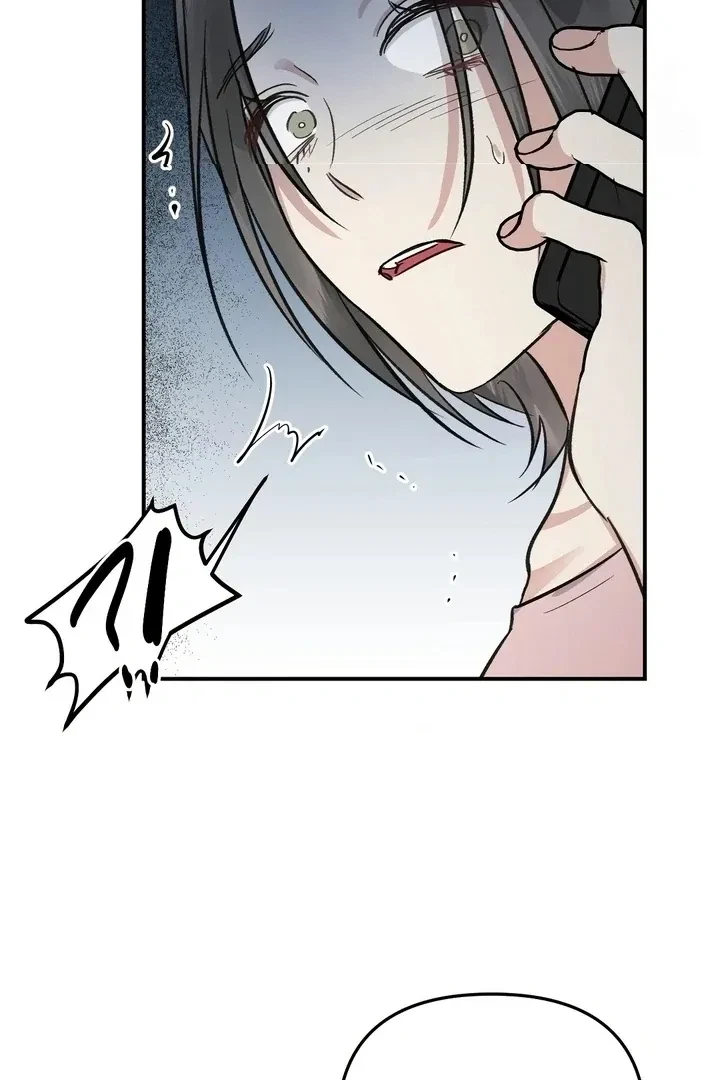 Chapter 3, page 79