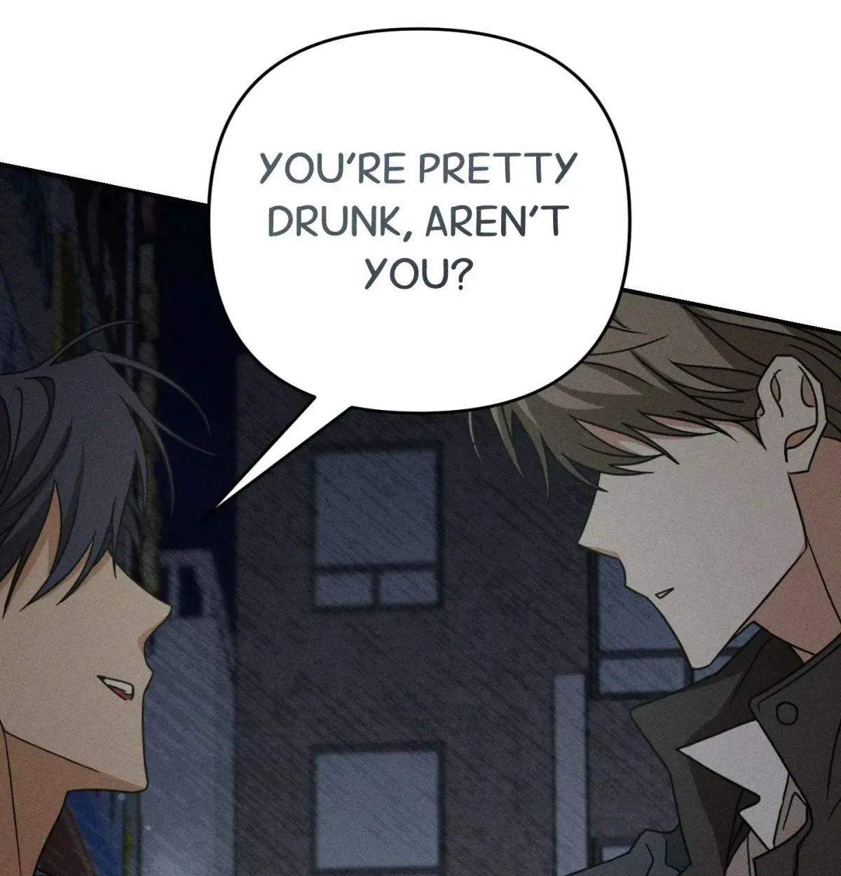 Chapter 5, page 101