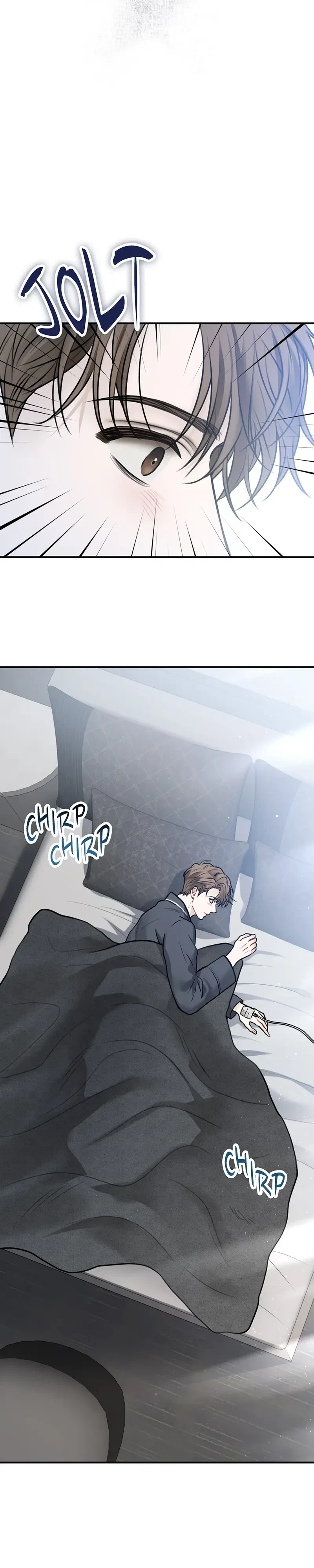 Chapter 1, page 20