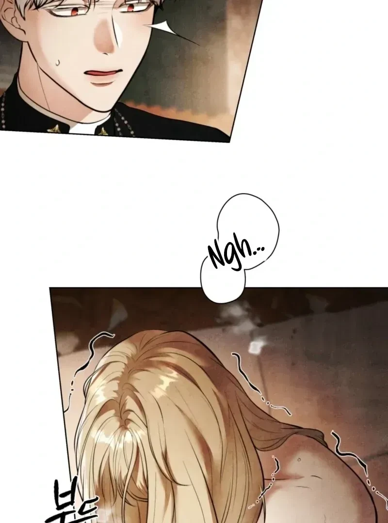 Chapter 1.1, page 101